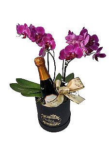 caixa box com mini orquídeas.