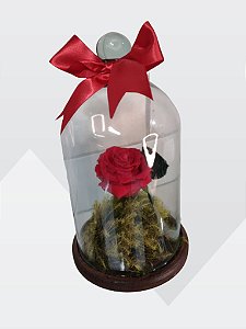A Rosa Encantada  Da Bela e a Fera