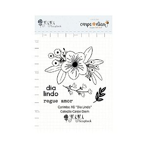 Colecao Carpe Diem - Carimbo XG Dia Lindo - Juju Scrapbook