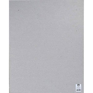PLACA HOLLER 40 x 50cm x 2,00 mm - TEC