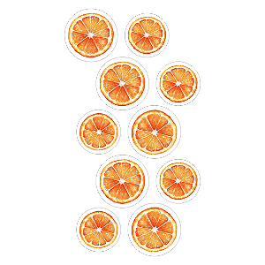 Coleção SINTONIA - Acrilico Apliques laranja - 10 pecas - SIN28 - Carina Sartor