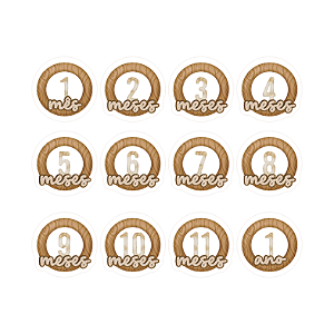 Coleção MEU DENGO - Aplique Acrílico - PLAQUINHA MESES (12pçs) DEN15 - Carina Sartor