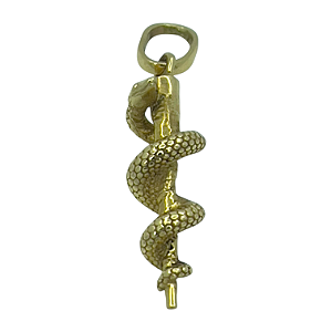 Pingente em Ouro 18K Emblema de Medicina