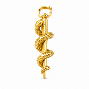Pingente em Ouro 18K Emblema de Medicina