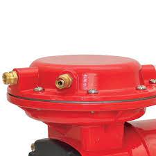 Compressor Ar Direto 1/3 Hp Bivolt Red Com Kit Chiaperini