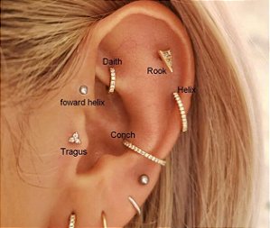 Piercing Orelha/Cartilagem Coração Cravejado Daith Prateado - Loja de  Piercings