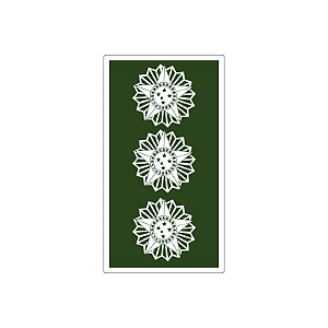 Divisa Emborrachada Coronel | Exercito Brasileiro