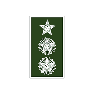 Divisa Emborrachada Tenente Coronel | Exercito Brasileiro