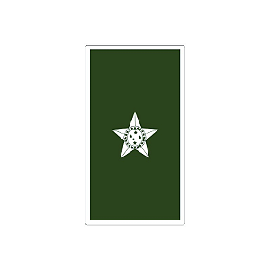 Divisa Emborrachada 2° Tenente | Exercito Brasileiro