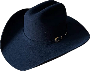 CHAPÉU PRALANA ARIZONA VI PRETO 11666