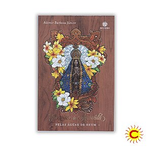 Livro - Peregrinas De Aparecida