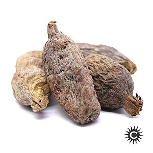 Fava – Ataré – Unidade