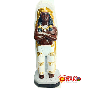 Imagem - Cacique Pena Branca - 20cm