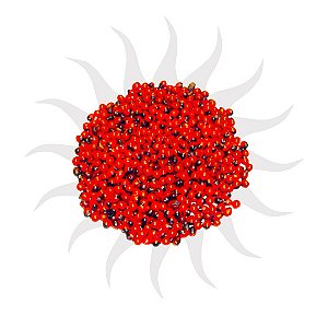 Fava - Olho De Pombo - Pacote 30g