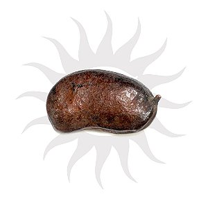 Fava - Jatobá - Unidade