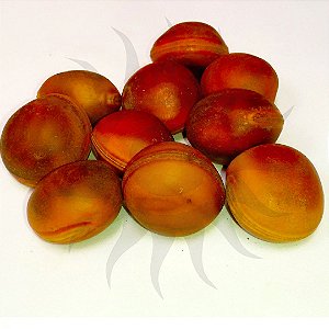 Fava - Maçã De Boi