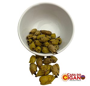 Fava - Oxum - Unidade