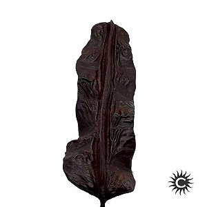 Fava Aridan – Aridã – Unidade