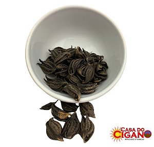 Fava – Garra de Pombagira – Unidade