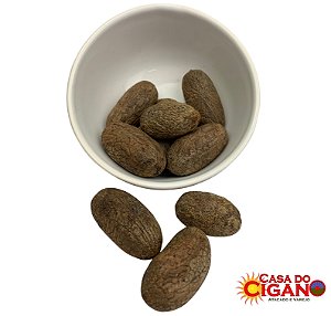 Fava – Escroto de Exu – Fertilidade – Unidade