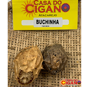 Erva Simples Buchinha do Norte - Casa do Cigano