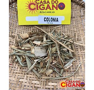 Erva Simples Colônia - Casa do Cigano
