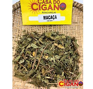 Erva Simples Macaça - Casa do Cigano