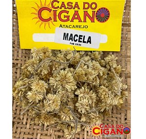 Erva Simples Macela Flor - Casa do Cigano