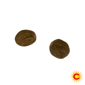 Erva Especial Noz Moscada - Casa do Cigano