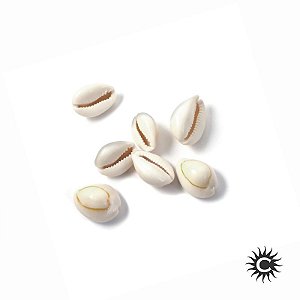 Búzio Branco Fechado Pequeno – Unidade