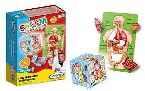 Jogo Educativo Steam Cubo Pedagógico Corpo Humano Xalingo