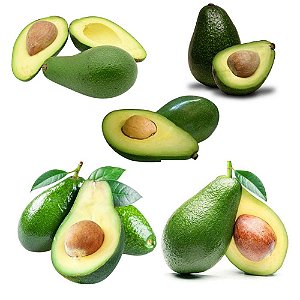 Kit Abacate 1 Manteiga 1 Avocado 1 Fortuna 1 Quintal 1 Breda