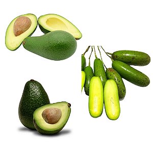 Kit 3 Mudas Abacates: 1 Sem Caroço, 1 Avocado, 1 Manteiga