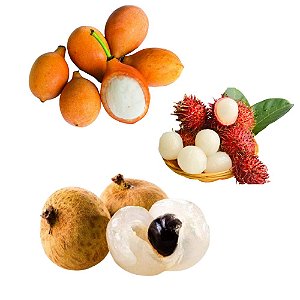 Kit Frutas Exóticas 1 Achachairu + 1 Rambutan + 1 Longana