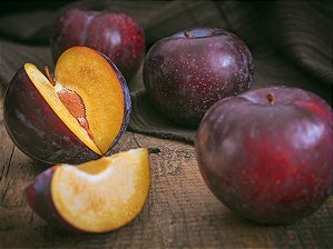 Ameixa Italiana Europeia Enxertada