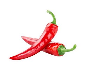 Muda De Pimenta Dedo De Moça