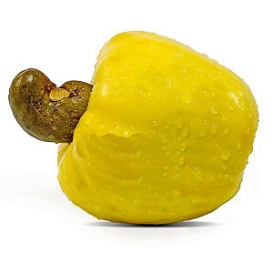 Muda De Caju Anão Amarelo Exótico Precoce Para Produzir