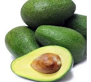 Muda De Abacate Breda Enxertado Legítimo Para Produzir