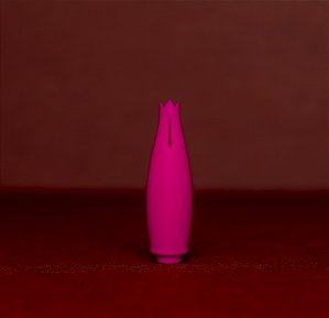 Vibrador de Clitóris - Bud 2x1