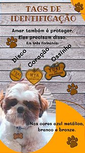 Tag de identificação Pet