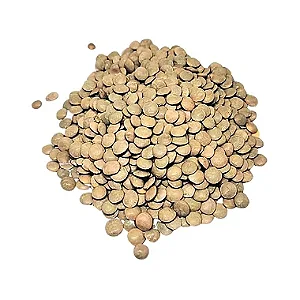 Lentilha Canadense Pacote 500g