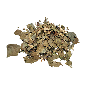Banchá Chá Verde Folhas (Camellia Sinensis) Pacote 500g