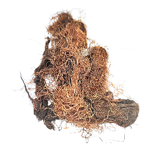 Cabelo Estigma De Milho (Stigma maydis) Pacote 100g