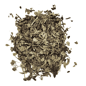 Java Em Folhas  (Orthosiphon aristatus) Pacote 500g
