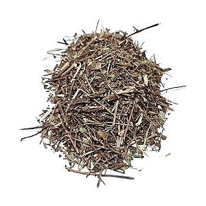 Poejo Folha (Mentha pulegium) Pacote 100g