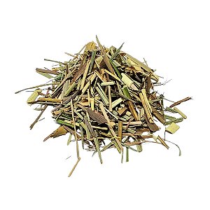 Capim Limão (Cymbopogon citratus) Pacote 500g