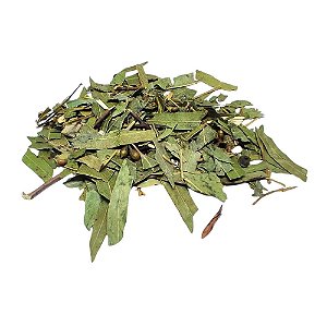 Eucalipto (Eucalyptus globulus Labill) Pacote 500g