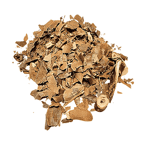 Abacateiro Folhas (Persea Americana Miller) Pacote 100g