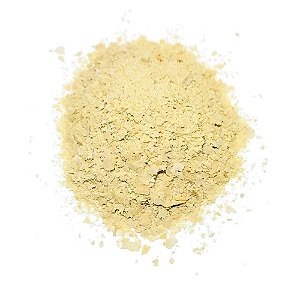Levedura Nutricional  Pacote 100g