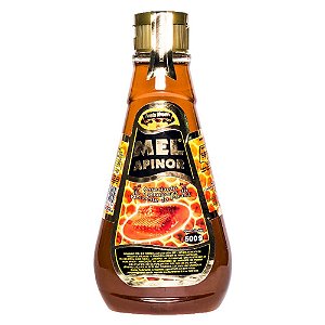 Mel Florada Silvestre Bisnaga Apinor 500g